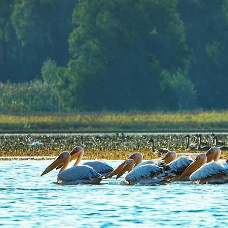 Pensiunea Valurile Dunarii Sfântu Gheorghe