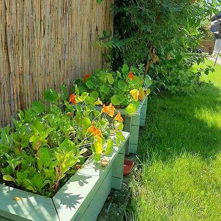 Pensiunea Valurile Dunarii Sfântu Gheorghe