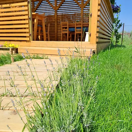 Pensiunea Valurile Dunarii 3*