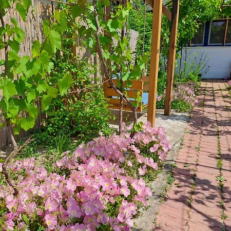 Pensionat Pensiunea Valurile Dunarii 3*